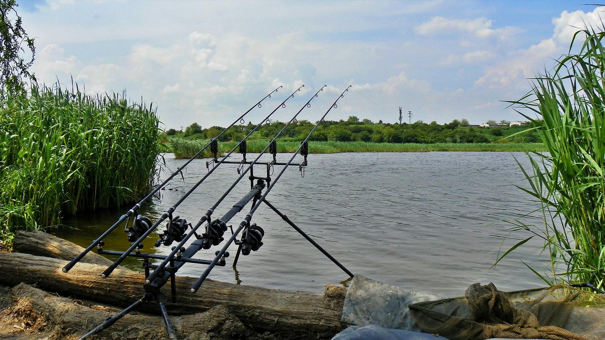 Crapmania (2) - 2011 - 1001557.JPG